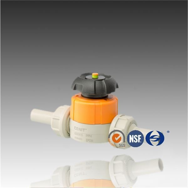 PPH PN10 De20-63 Socket Fusion-membraanklep