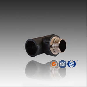 Socket Fusion PE zeshoekige mannelijke tee