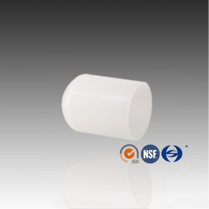 बट फ्यूजन PVDF अन्त्य क्याप