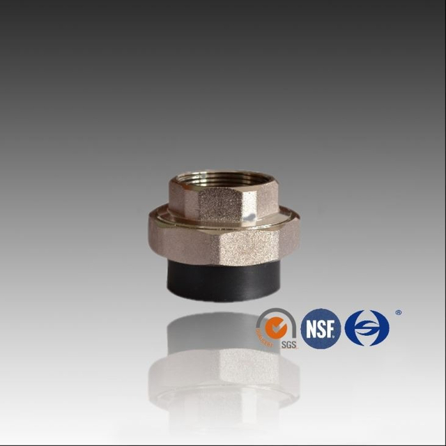 Socket Fusion pe Union feminino