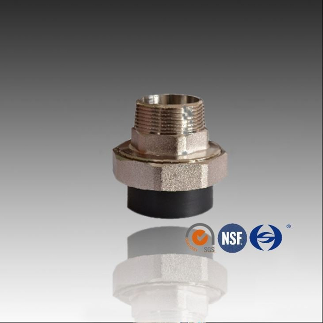 Socket Fusion pe União Masculina